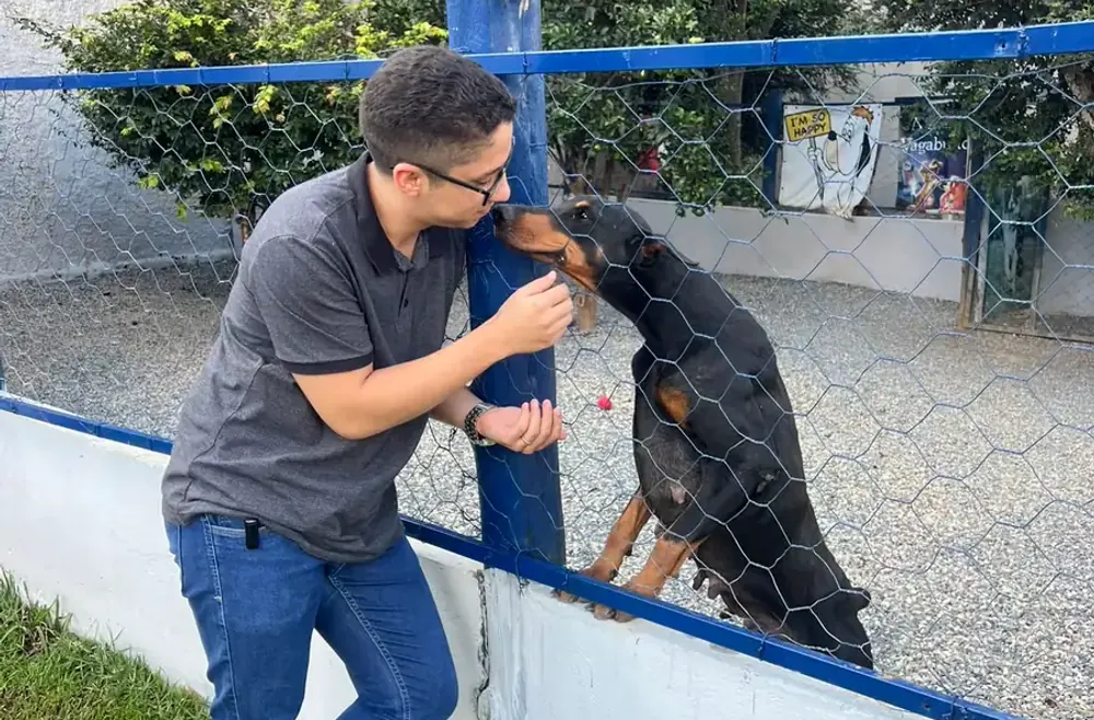 Agência 4 Patas - assessoria de marketing especializada no nicho pet